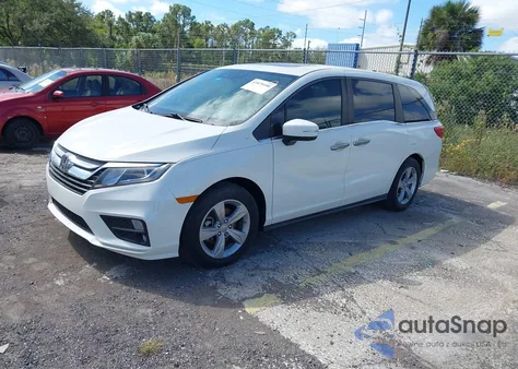 2019 Honda Odyssey Ex-L из США, поврежденный, VIN 5FNRL6H71KB086071